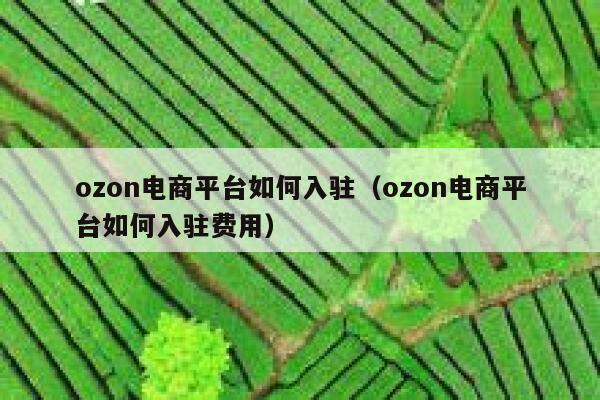ozon电商平台如何入驻（ozon电商平台如何入驻费用） 第1张