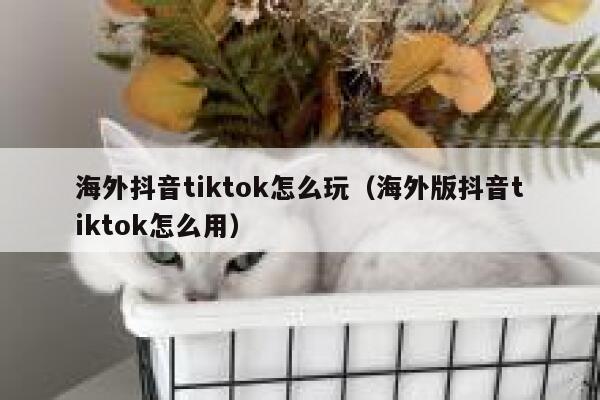 海外抖音tiktok怎么玩（海外版抖音tiktok怎么用） 第1张