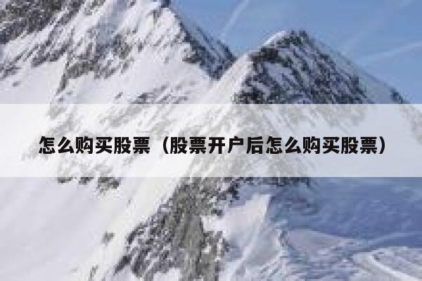 怎么购买股票（股票开户后怎么购买股票） 第1张