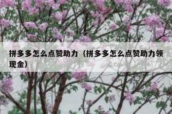 拼多多怎么点赞助力（拼多多怎么点赞助力领现金） 第1张