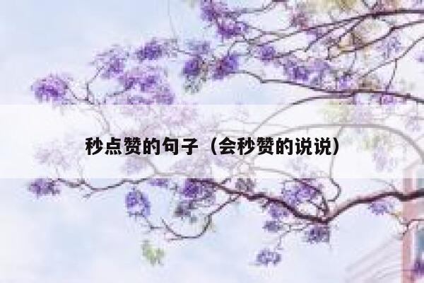 秒点赞的句子（会秒赞的说说） 第1张