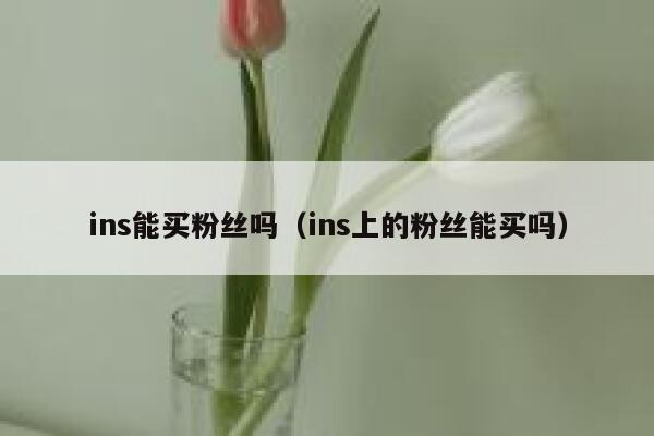 ins能买粉丝吗(ins上的粉丝能买吗) 第1张 ins能买粉丝吗(ins上的粉丝能买吗) 第1张