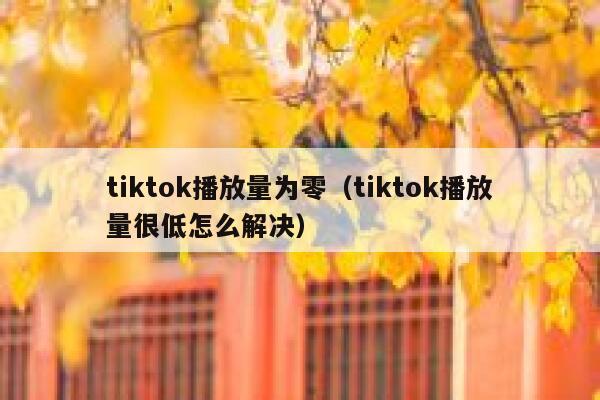 tiktok播放量为零（tiktok播放量很低怎么解决） 第1张