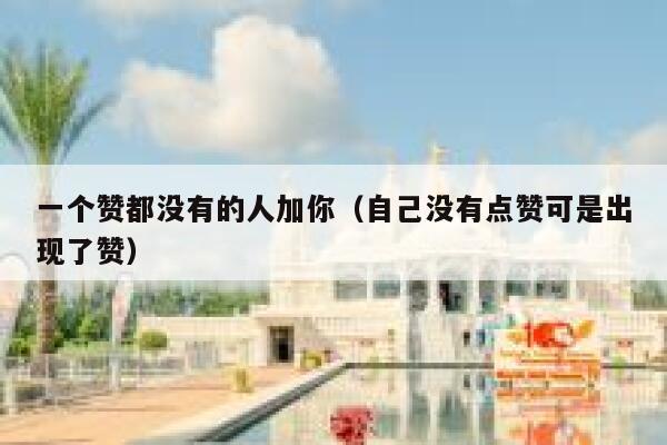 一个赞都没有的人加你（自己没有点赞可是出现了赞） 第1张