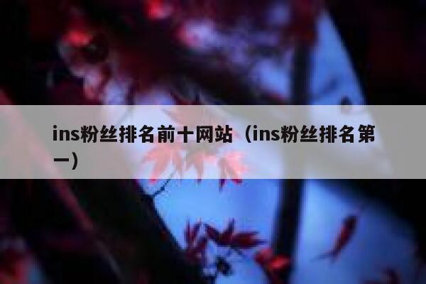 ins粉丝排名前十网站（ins粉丝排名第一） 第1张