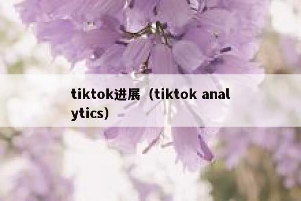 tiktok进展（tiktok analytics） 第1张