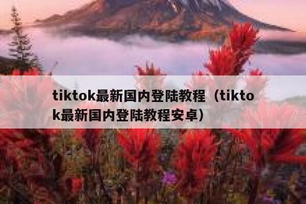 tiktok最新国内登陆教程（tiktok最新国内登陆教程安卓） 第1张