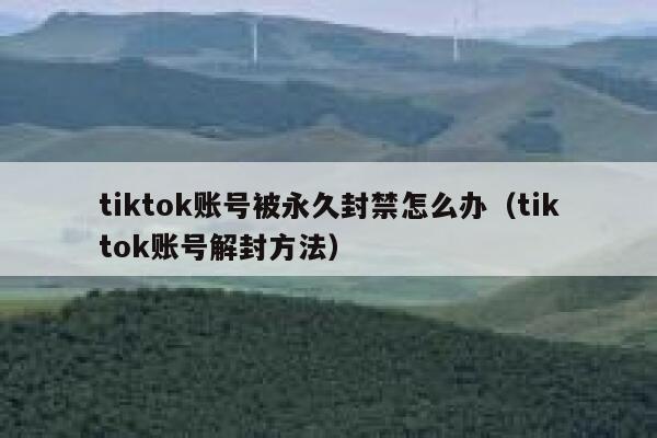tiktok账号被永久封禁怎么办(tiktok账号解封方法) 第1张 tiktok账号被永久封禁怎么办(tiktok账号解封方法) 第1张