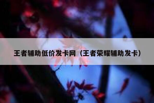 王者辅助低价发卡网（王者荣耀辅助发卡） 第1张