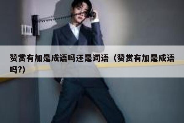 赞赏有加是成语吗还是词语（赞赏有加是成语吗?） 第1张