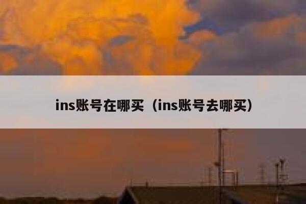 ins账号在哪买（ins账号去哪买） 第1张