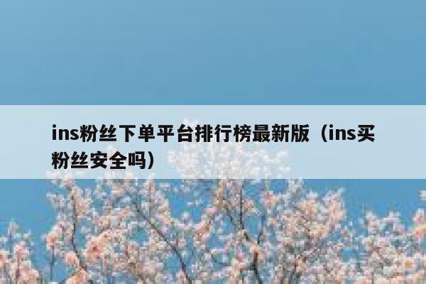 ins粉丝下单平台排行榜最新版（ins买粉丝安全吗） 第1张