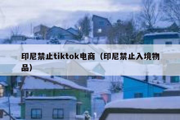 印尼禁止tiktok电商(印尼禁止入境物品) 第1张 印尼禁止tiktok电商(印尼禁止入境物品) 第1张