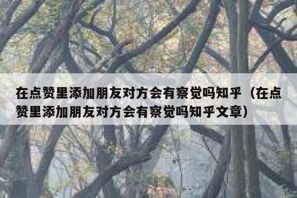 在点赞里添加朋友对方会有察觉吗知乎（在点赞里添加朋友对方会有察觉吗知乎文章） 第1张