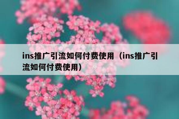ins推广引流如何付费使用（ins推广引流如何付费使用） 第1张