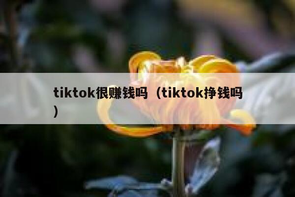 tiktok很赚钱吗（tiktok挣钱吗） 第1张