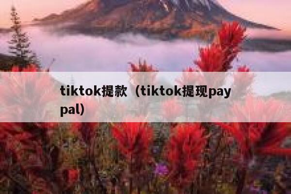 tiktok提款（tiktok提现paypal） 第1张