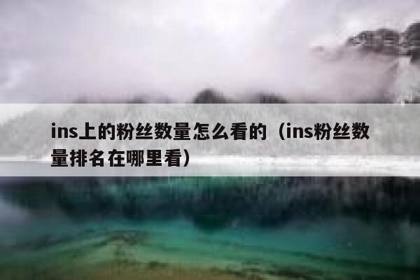 ins上的粉丝数量怎么看的（ins粉丝数量排名在哪里看） 第1张