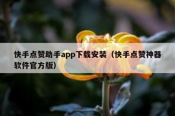 快手点赞助手app下载安装(快手点赞神器软件官方版) 第1张 快手点赞助手app下载安装(快手点赞神器软件官方版) 第1张