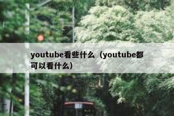 youtube看些什么（youtube都可以看什么） 第1张