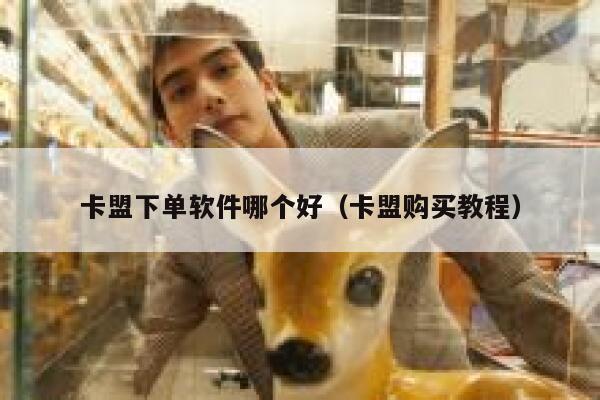 卡盟下单软件哪个好（卡盟购买教程） 第1张