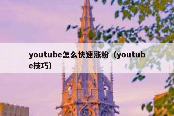 youtube怎么快速涨粉（youtube技巧） 第1张