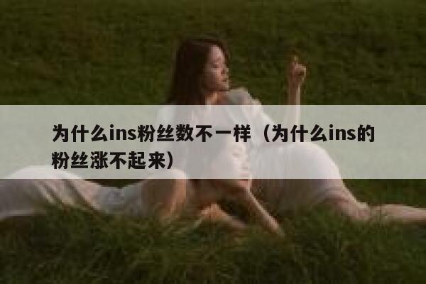 为什么ins粉丝数不一样（为什么ins的粉丝涨不起来） 第1张