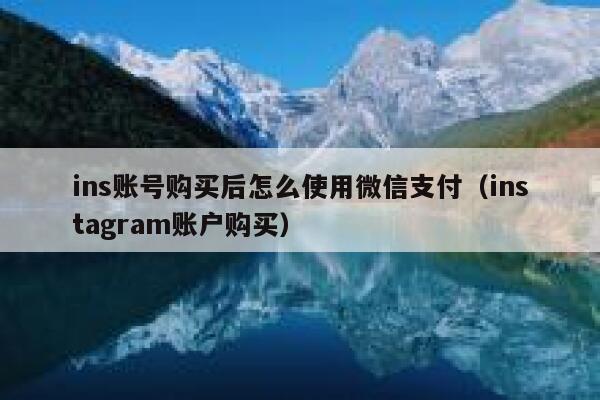 ins账号购买后怎么使用微信支付（instagram账户购买） 第1张