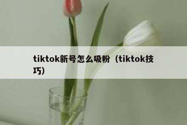 tiktok新号怎么吸粉（tiktok技巧） 第1张