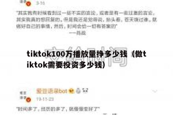 tiktok100万播放量挣多少钱（做tiktok需要投资多少钱） 第1张