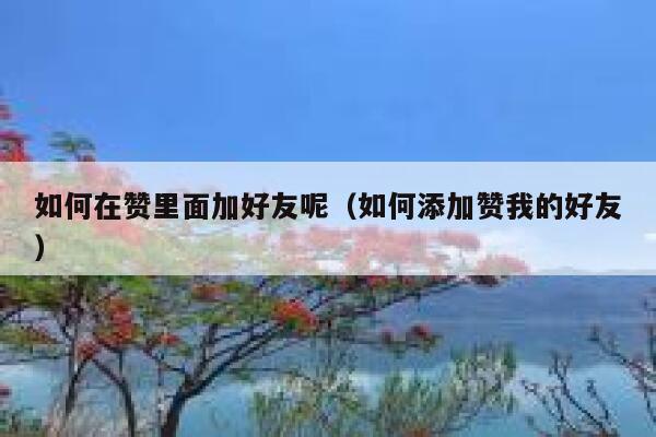 如何在赞里面加好友呢（如何添加赞我的好友） 第1张