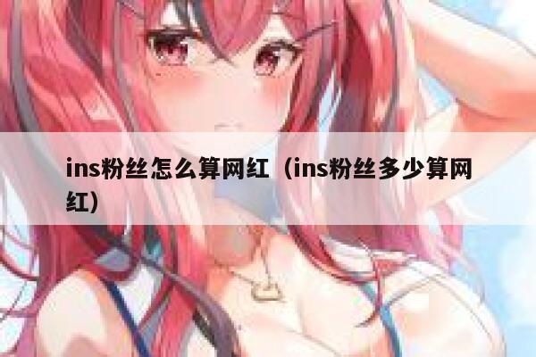 ins粉丝怎么算网红（ins粉丝多少算网红） 第1张