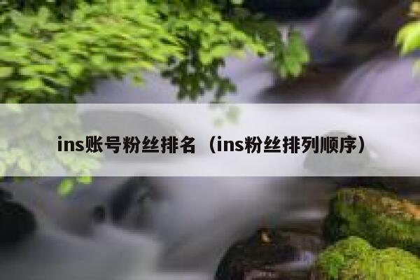 ins账号粉丝排名（ins粉丝排列顺序） 第1张