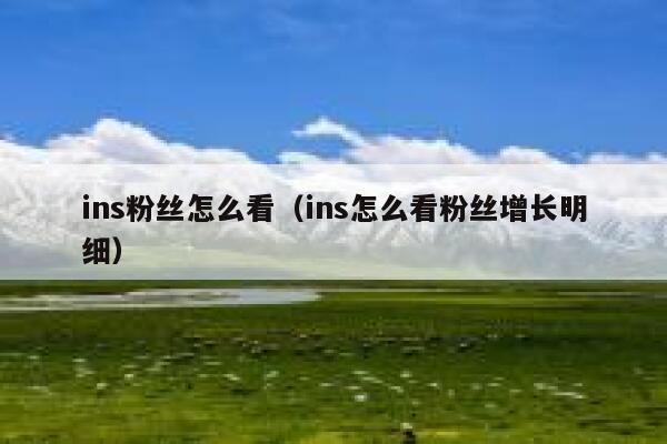 ins粉丝怎么看（ins怎么看粉丝增长明细） 第1张