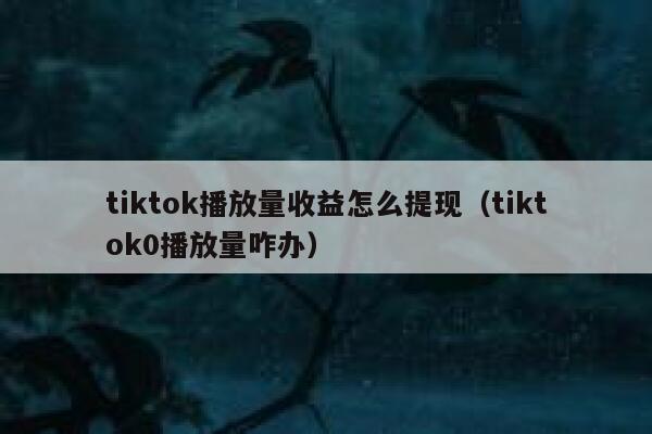 tiktok播放量收益怎么提现（tiktok0播放量咋办） 第1张