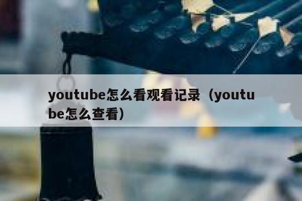 youtube怎么看观看记录(youtube怎么查看) 第1张 youtube怎么看观看记录(youtube怎么查看) 第1张