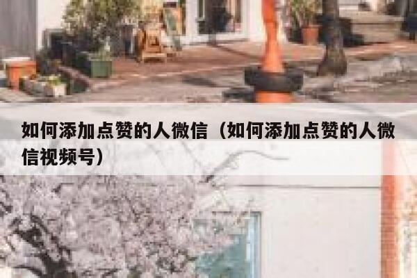 如何添加点赞的人微信（如何添加点赞的人微信视频号） 第1张