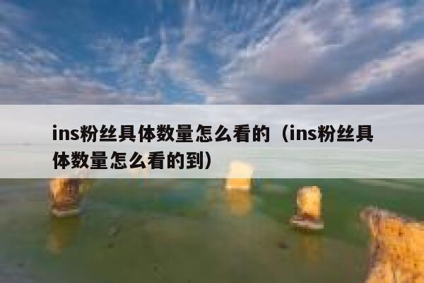 ins粉丝具体数量怎么看的（ins粉丝具体数量怎么看的到） 第1张