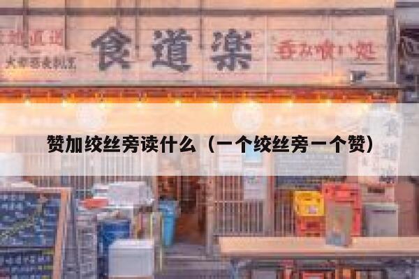 赞加绞丝旁读什么（一个绞丝旁一个赞） 第1张