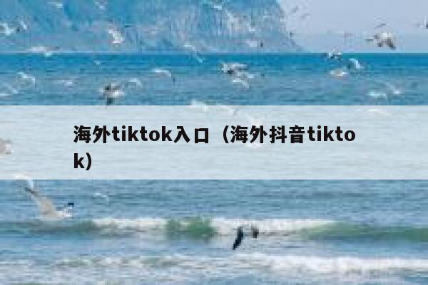 海外tiktok入口（海外抖音tiktok） 第1张
