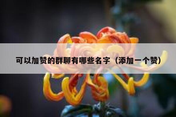 可以加赞的群聊有哪些名字（添加一个赞） 第1张