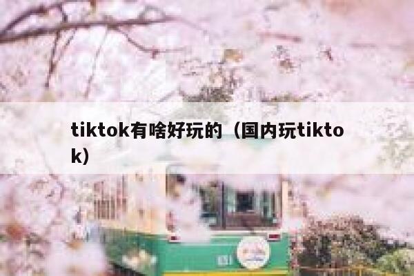 tiktok有啥好玩的（国内玩tiktok） 第1张