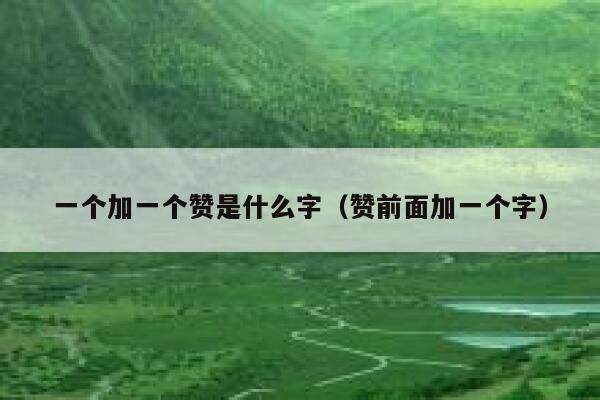 一个加一个赞是什么字（赞前面加一个字） 第1张
