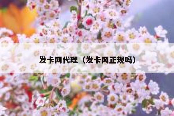 发卡网代理（发卡网正规吗） 第1张