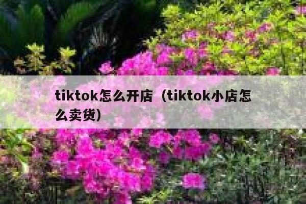 tiktok怎么开店（tiktok小店怎么卖货） 第1张