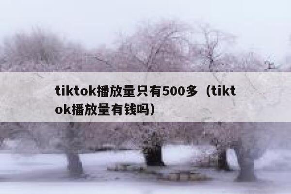 tiktok播放量只有500多（tiktok播放量有钱吗） 第1张