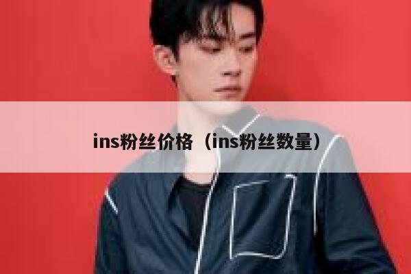 ins粉丝价格（ins粉丝数量） 第1张