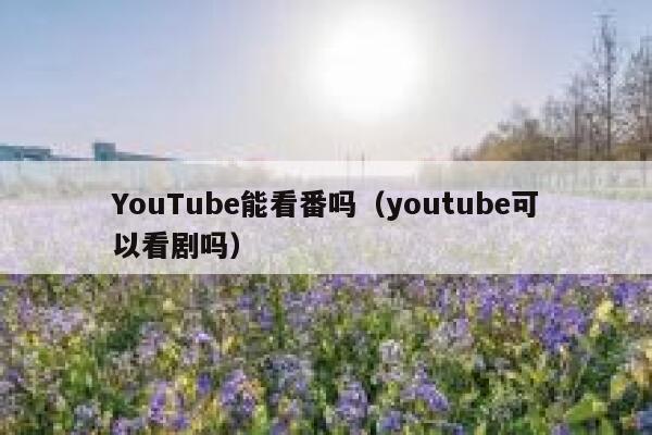 YouTube能看番吗（youtube可以看剧吗） 第1张