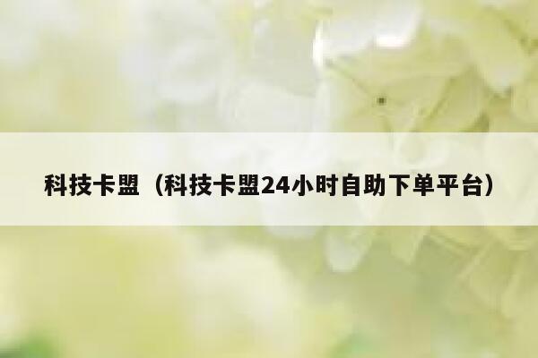 科技卡盟（科技卡盟24小时自助下单平台） 第1张