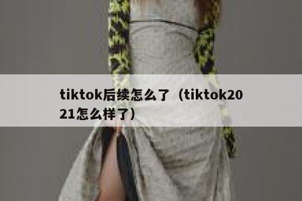 tiktok后续怎么了（tiktok2021怎么样了） 第1张